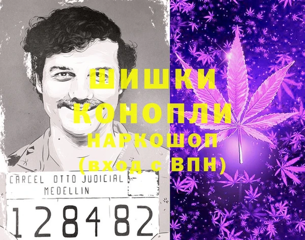 прущая мука Корсаков