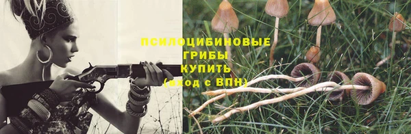 соль ск Краснотурьинск